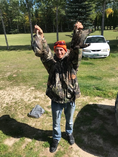 Ruffed Grouse
