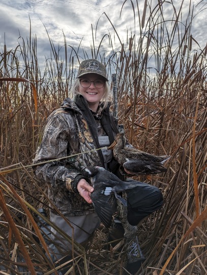 Bufflehead Duck